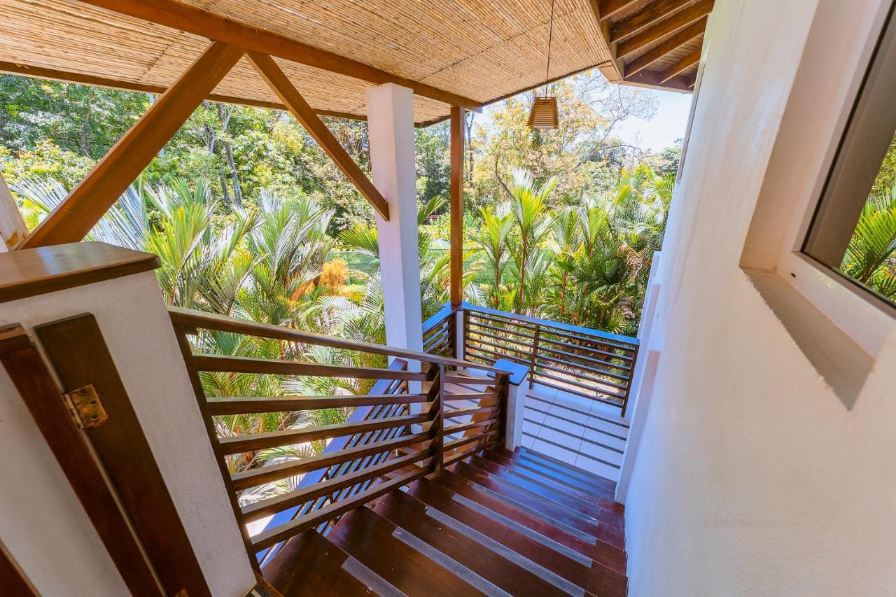 Terrazas Del Caribe Hotel Puerto Viejo de Talamanca エクステリア 写真