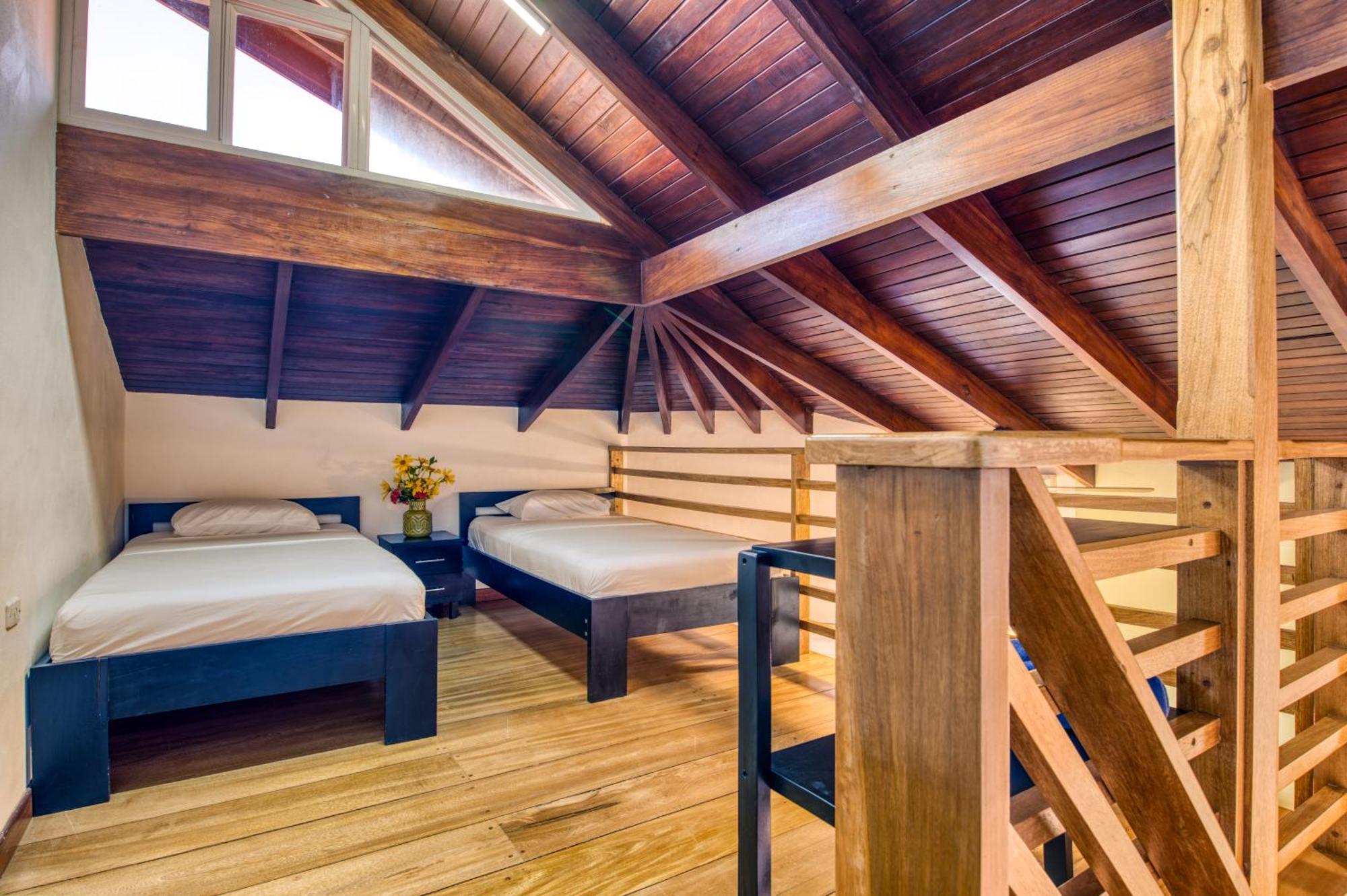 Terrazas Del Caribe Hotel Puerto Viejo de Talamanca エクステリア 写真
